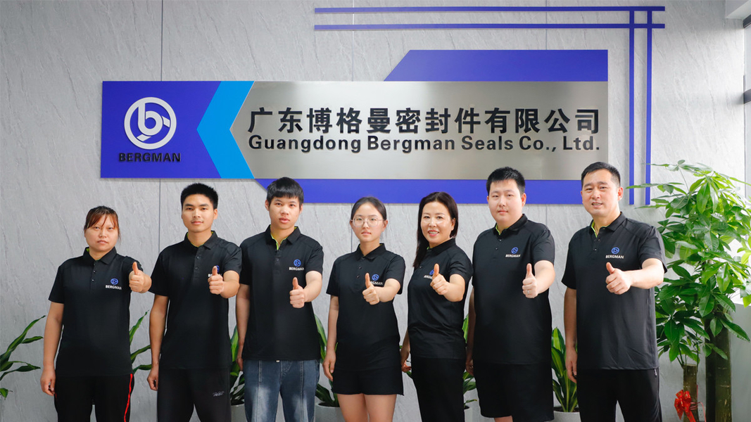China Guangzhou Bogeman Mechanical Seal Co., Ltd. Unternehmensprofil
