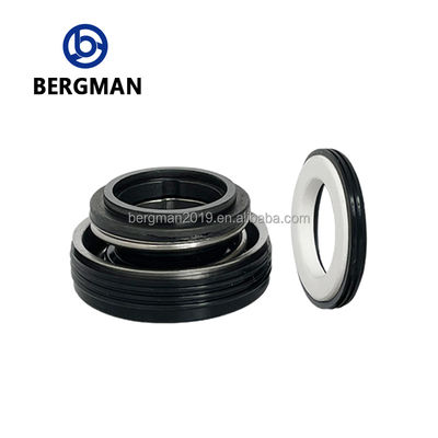 BERGMAN FT Series Mechanical Seal 12-30mm for Rotary Pumps