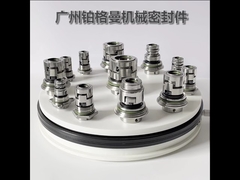 Grundfos Typ Mehrstufige vertikale Pumpen-Gleitringdichtung Glf 32 mm CR CRN CRI