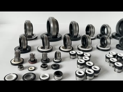 BT AR 301 Einseitig Trockenlauf Mechanische Dichtung 12 mm 14 mm Edelstahl Feder