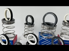 Burgmann Typ EA560 Wasserpumpendichtung Mechanische Dichtung 50 mm Schachtloch