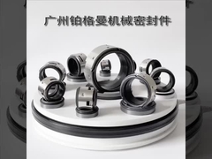 John Crane 502 Wasserpumpe Mechanische Dichtung 100 mm für Industriepumpen