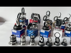 EA560D Burgmann-Pumpe Mechanische Dichtung WQ Unterwasserfahrzeug