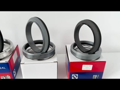 ABS AFP Unterwasserpumpe Mechanische Dichtung 90mm 100mm Wellenfeder